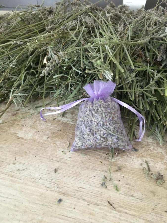 法扬斯Les Genets别墅 外观 照片
